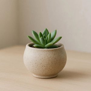 Small Zen Style Ceramic Flower Pot For Meditation Room And Minimalist Desktop Succulent Display